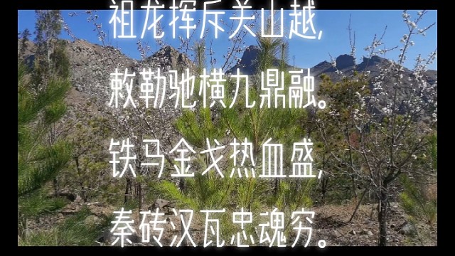 评悼北魏武川豪雄