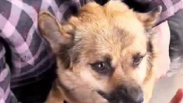 妈呀，辈分比我都大