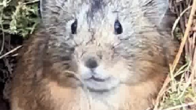 当你弱小的时候连愤怒都是可爱的