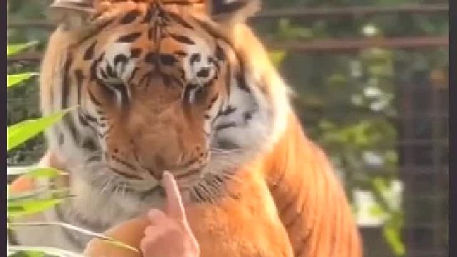 长大后很不开心