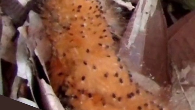 独自在家的宝宝，感知到附近有敌人时，瞬间开启72变。