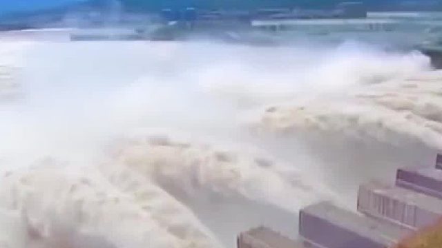 蓄水了20年的三峡大坝，堪称鱼类天堂，现在里面最大的鱼有多大01