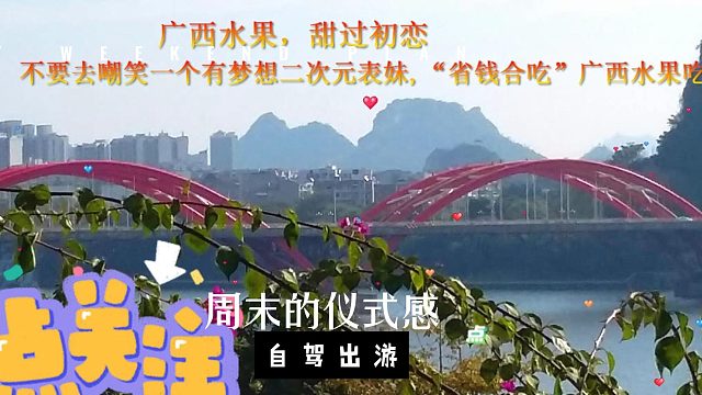 2024年的愿望是假装要专一,二次元表妹“省钱合吃”木奶果让人讨厌,