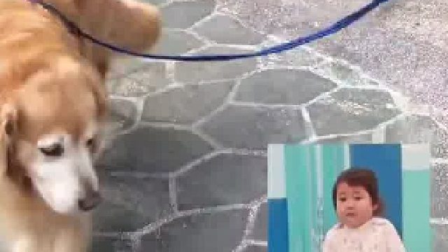 就这？就这？！我还以为他多聪明呢…