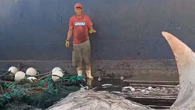 没想到这东西有这么大…