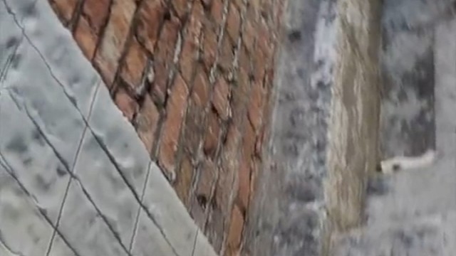 完了，我中伊邪那美了