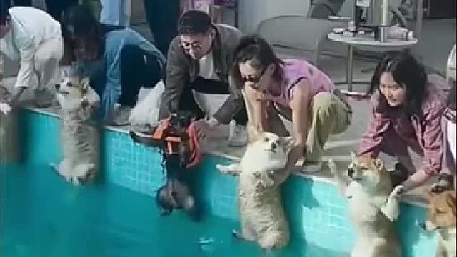 爸妈带孩子游泳比赛[赞][赞]