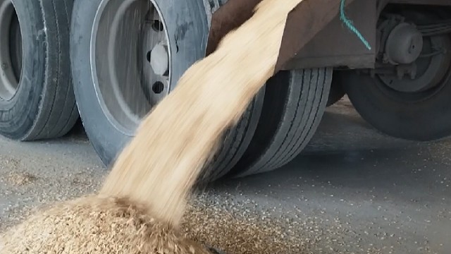 每天标准的工作