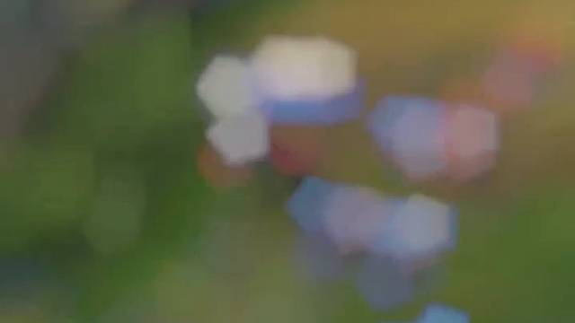 小羊！你怎么斗的过我的狼？ #联盟的魅力