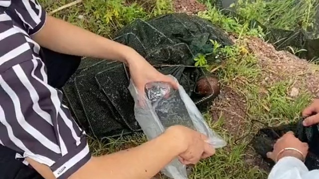 我靠有辣条吃啦！