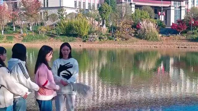 这是上了霍格沃兹旁边小路的盗版学校吗