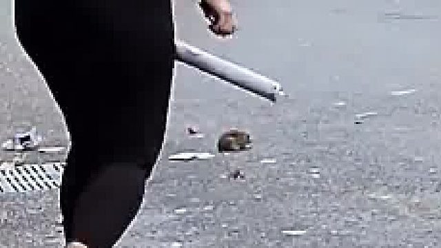 老鼠脾气不小，气的跳起来了