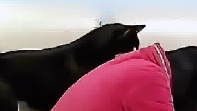 女子在家突然得知好友离世，悲伤哭泣时 狗狗的举动令人泪目，“怪不得狗狗能干精神抚慰的活儿”