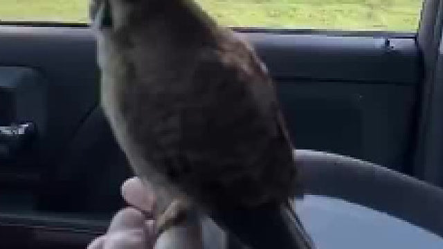 别看我个头不大，我猛着呢……