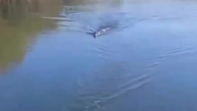 钓鱼真好玩，尤其是钓大鱼……