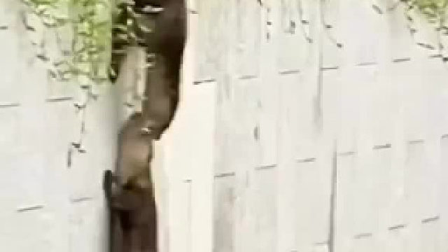 诶？等等啊，我还没上去啊……