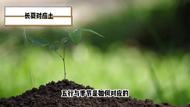 五行與長夏的奇妙聯(lián)系