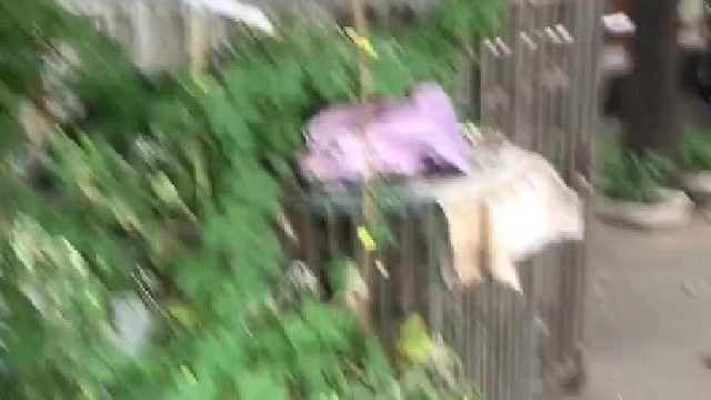 每个路过的都被它吓坏了，唯独我路过，它怕我，因为有铁笼子我不怕