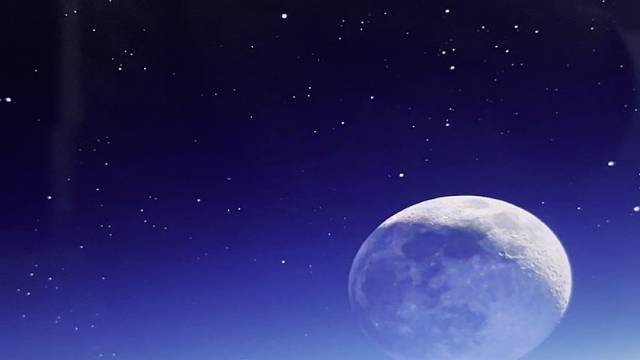 新年快乐，西瓜