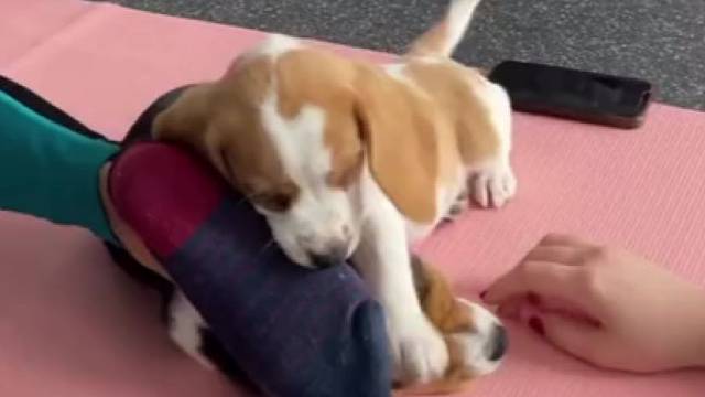 啃完别人的脚又去舔另一个人的脸