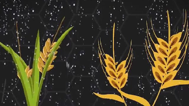 国外小伙用验孕棒测出怀孕，却救了自己一条小命，这是什么原理02