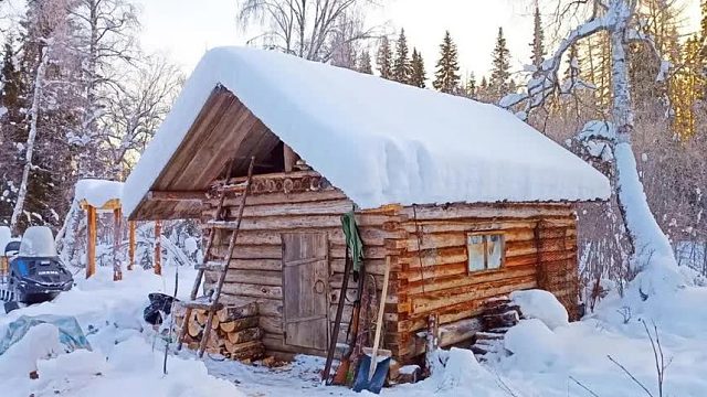 50岁的中年奇男子，居然断网独居森林长达10年，钢铁意志逆袭荒野