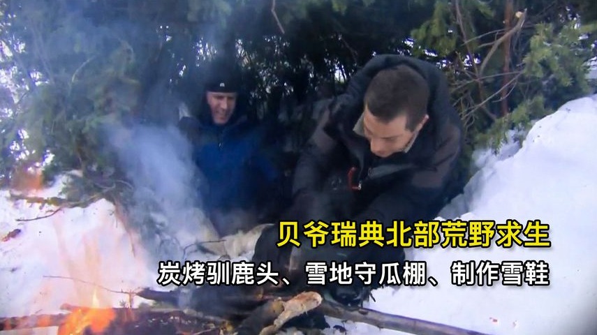 贝爷瑞典北部荒野求生，炭烤驯鹿头、搭雪地守瓜棚、制作雪鞋