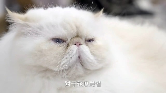 2症状#愿天下更健康更长寿