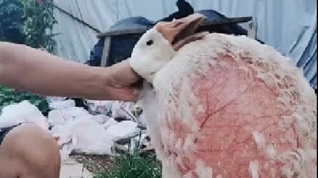 放气也是一门技术……