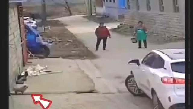 这要开窗就飞驾驶室里去了！