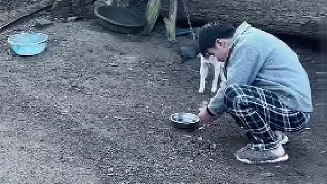 小伙炸狗盆，全网都在为狗发声，赶紧赔个新的吧