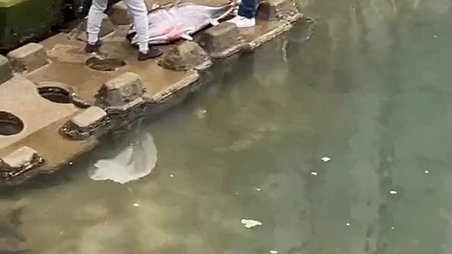 这离了大谱了呀