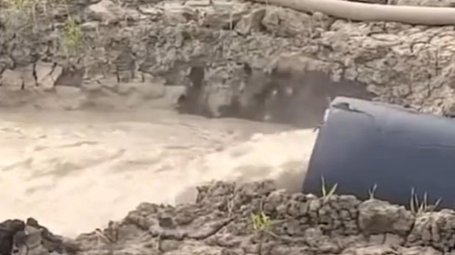 坐在马桶上的举手