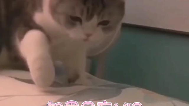 如果只充648，你抽什么