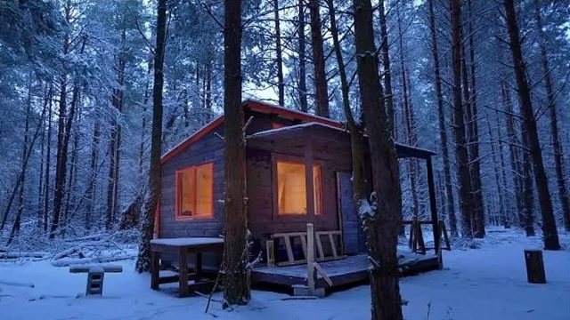 牛人小伙无惧森林猛兽，独居森林700天，逆天搭建最豪横荒野别墅