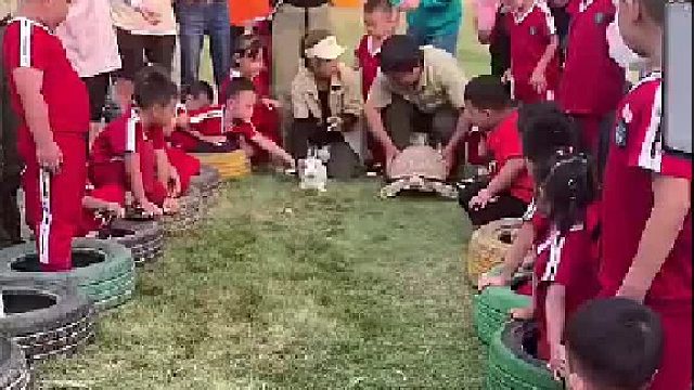 龟兔赛跑的故事是真的，原来兔子真的偷懒了