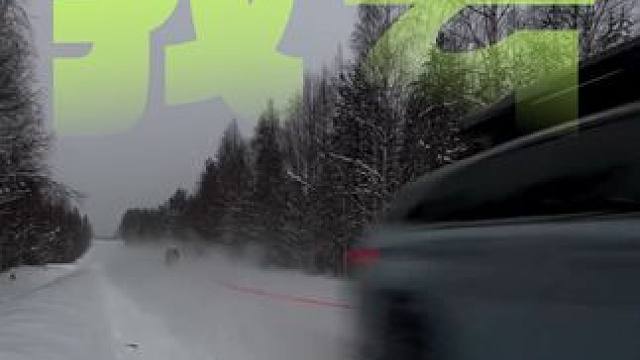 看清楚什么车我服你#雪地开车 #滑雪 #雪地穿越 #滑雪季 #雪地