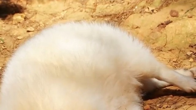 笑吧，这要是在唐朝，咱必定贵妃