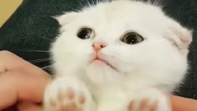 养你千日，终于等到用你的一时了