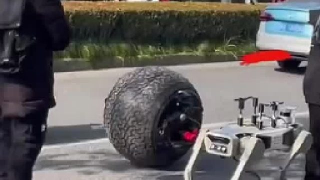 学霸遛的“宠物”惊到了……网友：外面的世界都发展成这样了吗 ？