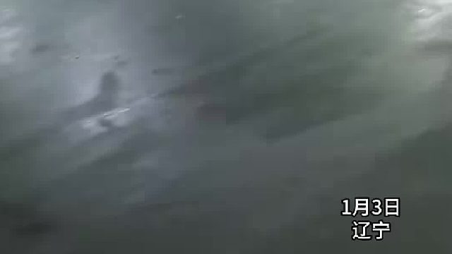 “南方小土豆”发烧说不出话，东北大哥帮忙接司机电话为其撑腰