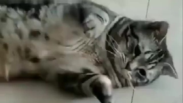 托腮那一下也太撩了吧，馋到忧伤