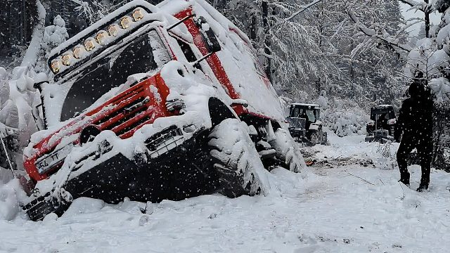 夫妻俩和一狗雪天露营被困是怎样的体验