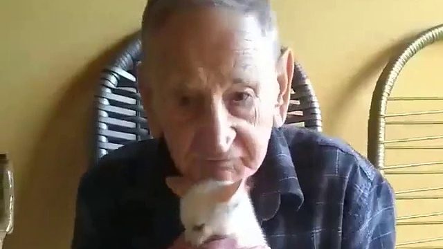 一老爷爷自从养了猫之后，这就是每天他们的日常...