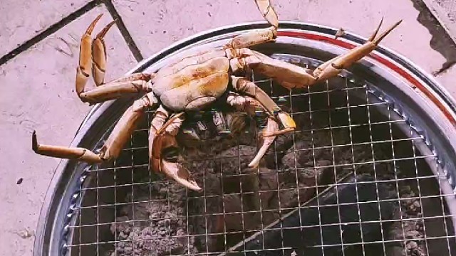 碳烤螃蟹，哈哈