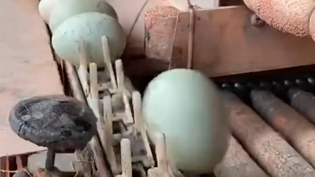 你们知道这是在干嘛？