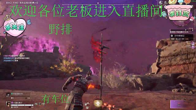 新人主播，代敲通行证，免费上铂金，陨星