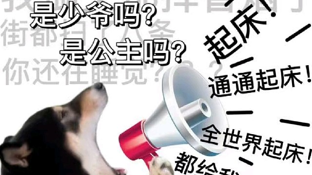 1-3三钢就位，2-2五钢就位恰鸡恰鸡