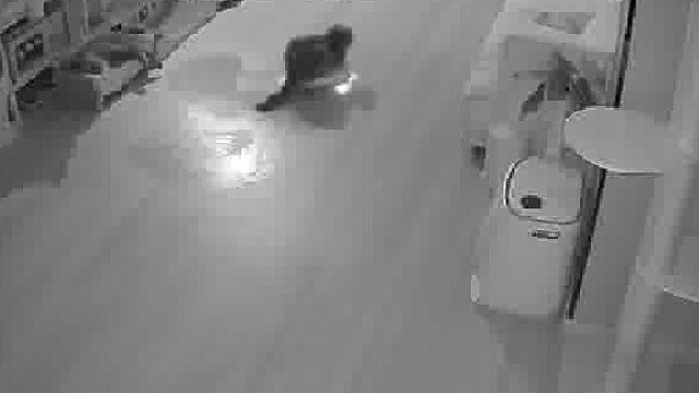 机器人：当初买我回家的时候，没说要载客