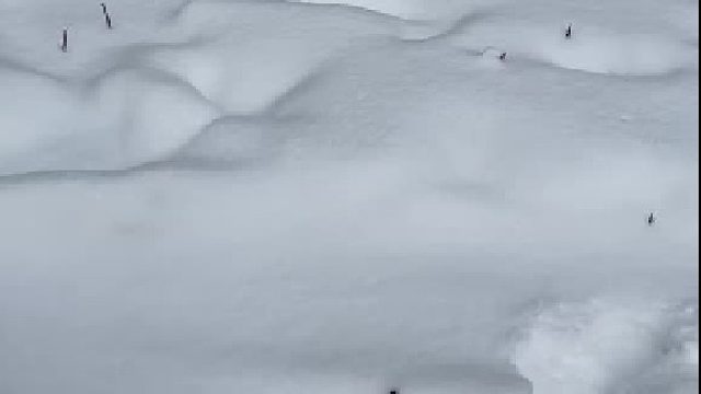 真是一场酣畅淋漓的打雪仗啊